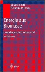 Energie aus Biomasse. Grundlagen, Techniken und Verfahren 