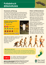 Ernährung © UBZ Steiermark Ernährung © UBZ Steiermark