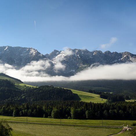 Das Bild zeigt Berge vor blauem Himmel und grünen Wiesen.