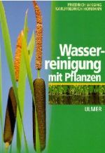 Wasserreinigung mit Pflanzen 