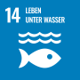 Leben unter Wasser © United Nations