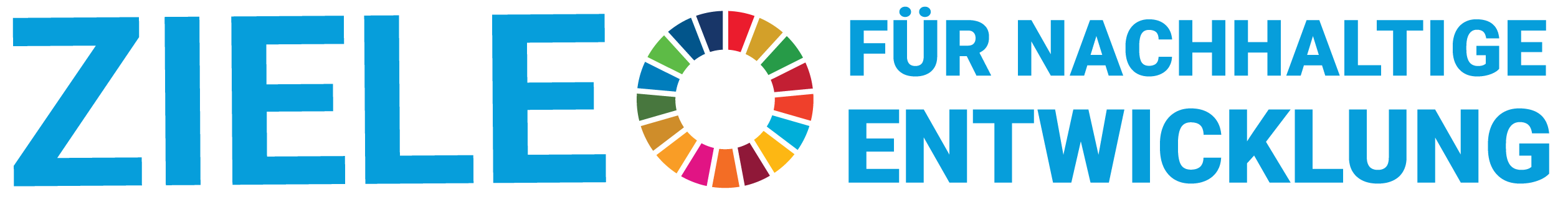 SDGs Ziele für nachhaltige Entwicklung